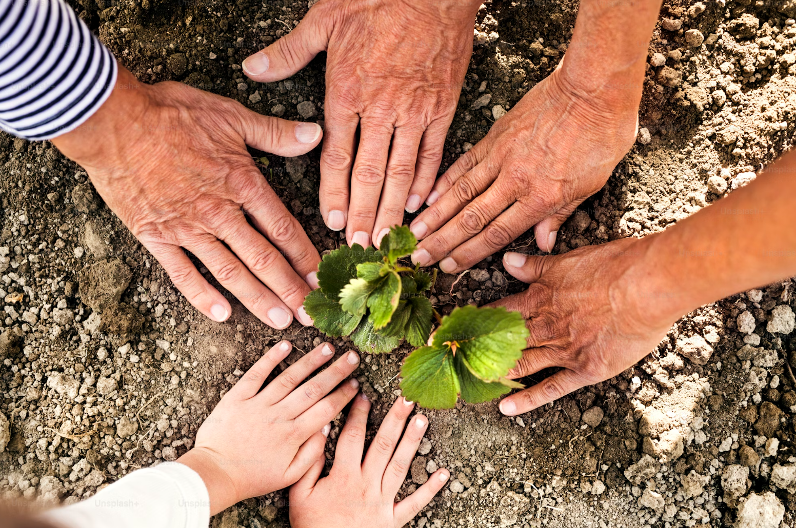 hands image